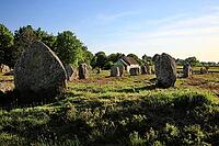 This atmospheric picture shows the famous stone rows of Carnac in Brittany. Numerous Neolithic menhirs rise from the grass and lead the eye to a characteristic stone house. The low sun bathes the scene in golden light and accentuates the rough granite tex [IBR124629128]