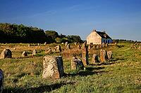 This atmospheric picture shows the famous stone rows of Carnac in Brittany. Numerous Neolithic menhirs rise from the grass and lead the eye to a characteristic stone house. The low sun bathes the scene in golden light and accentuates the rough granite tex [IBR124629131]