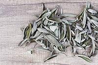 Dried sage leaves (Salvia officinalis), Kempen, North Rhine-Westphalia, Germany [IBR124629537]