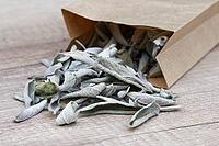 Dried sage leaves (Salvia officinalis), Kempen, North Rhine-Westphalia, Germany [IBR124629540]