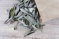 Dried sage leaves (Salvia officinalis), Kempen, North Rhine-Westphalia, Germany [IBR124629542]