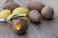 Peeled and unpeeled Laura potatoes with potato peeler, Kempen, North Rhine-Westphalia, Germany [IBR124629545]