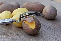 Peeled and unpeeled Laura potatoes with potato peeler, Kempen, North Rhine-Westphalia, Germany [IBR124629546]