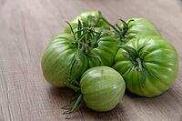 Unripe, green beefsteak tomatoes (Solanum lycopersicum), Kempen, North Rhine-Westphalia, Germany [IBR124629558]