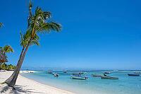 Palm tree, cloud, sky, sea, sandy beach, nature, umbrellas, Le Morne, Mauritius [IBR124629570]