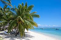 Palm tree, cloud, sky, sea, sandy beach, nature, umbrellas, Le Morne, Mauritius [IBR124629573]
