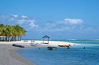 Palm tree, cloud, sky, sea, sandy beach, nature, umbrellas, Le Morne, Mauritius [IBR124629574]