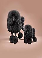Funny big and toy black poodles standing on a color background [IBR124631230]