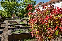 Roof garden with red ornamental shrubs and historic building in Ettlingen, Baden-W$00FCrttemberg, Germany [IBR124631251]