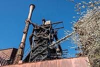 Blast furnace with steel structure and blooming tree in the foreground, Duisburg, North Rhine-Westphalia, Germany [IBR124631255]