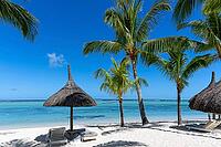 Palm tree, cloud, sky, sea, sandy beach, nature, umbrellas, Le Morne, Mauritius [IBR124631276]