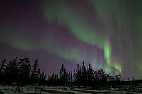 Northern Lights (Aurora borealis), Muddus National Park, Laponia World Heritage Site, Norrbotten, Lapland, Sweden, October 2024 [IBR124636199]