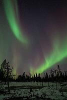 Northern Lights (Aurora borealis), Muddus National Park, Laponia World Heritage Site, Norrbotten, Lapland, Sweden, October 2024 [IBR124636200]
