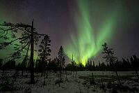 Northern Lights (Aurora borealis), Muddus National Park, Laponia World Heritage Site, Norrbotten, Lapland, Sweden, October 2024 [IBR124636202]