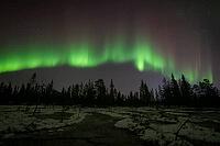 Northern Lights (Aurora borealis), Muddus National Park, Laponia World Heritage Site, Norrbotten, Lapland, Sweden, October 2024 [IBR124636204]