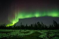 Northern Lights (Aurora borealis), Muddus National Park, Laponia World Heritage Site, Norrbotten, Lapland, Sweden, October 2024 [IBR124636205]