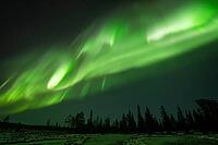 Northern Lights (Aurora borealis), Muddus National Park, Laponia World Heritage Site, Norrbotten, Lapland, Sweden, October 2024 [IBR124636206]