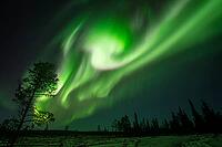 Northern Lights (Aurora borealis), Muddus National Park, Laponia World Heritage Site, Norrbotten, Lapland, Sweden, October 2024 [IBR124636207]
