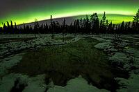 Northern Lights (Aurora borealis), Muddus National Park, Laponia World Heritage Site, Norrbotten, Lapland, Sweden, October 2024 [IBR124636211]