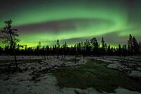Northern Lights (Aurora borealis), Muddus National Park, Laponia World Heritage Site, Norrbotten, Lapland, Sweden, October 2024 [IBR124636212]