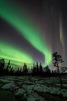 Northern Lights (Aurora borealis), Muddus National Park, Laponia World Heritage Site, Norrbotten, Lapland, Sweden, October 2024 [IBR124636214]