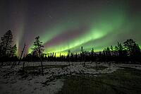 Northern Lights (Aurora borealis), Muddus National Park, Laponia World Heritage Site, Norrbotten, Lapland, Sweden, October 2024 [IBR124636215]