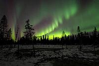 Northern Lights (Aurora borealis), Muddus National Park, Laponia World Heritage Site, Norrbotten, Lapland, Sweden, October 2024 [IBR124636216]