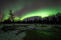 Northern Lights (Aurora borealis), Muddus National Park, Laponia World Heritage Site, Norrbotten, Lapland, Sweden, October 2024 [IBR124636217]
