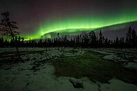Northern Lights (Aurora borealis), Muddus National Park, Laponia World Heritage Site, Norrbotten, Lapland, Sweden, October 2024 [IBR124636218]
