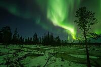 Northern Lights (Aurora borealis), Muddus National Park, Laponia World Heritage Site, Norrbotten, Lapland, Sweden, October 2024 [IBR124636220]