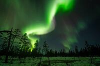 Northern Lights (Aurora borealis), Muddus National Park, Laponia World Heritage Site, Norrbotten, Lapland, Sweden, October 2024 [IBR124636222]