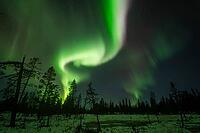 Northern Lights (Aurora borealis), Muddus National Park, Laponia World Heritage Site, Norrbotten, Lapland, Sweden, October 2024 [IBR124636224]