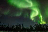 Northern Lights (Aurora borealis), Muddus National Park, Laponia World Heritage Site, Norrbotten, Lapland, Sweden, October 2024 [IBR124636225]