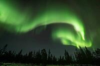 Northern Lights (Aurora borealis), Muddus National Park, Laponia World Heritage Site, Norrbotten, Lapland, Sweden, October 2024 [IBR124636226]