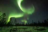 Northern Lights (Aurora borealis), Muddus National Park, Laponia World Heritage Site, Norrbotten, Lapland, Sweden, October 2024 [IBR124636227]