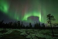 Northern Lights (Aurora borealis), Muddus National Park, Laponia World Heritage Site, Norrbotten, Lapland, Sweden, October 2024 [IBR124636229]