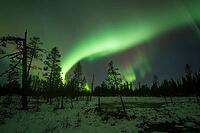 Northern Lights (Aurora borealis), Muddus National Park, Laponia World Heritage Site, Norrbotten, Lapland, Sweden, October 2024 [IBR124636230]