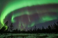Northern Lights (Aurora borealis), Muddus National Park, Laponia World Heritage Site, Norrbotten, Lapland, Sweden, October 2024 [IBR124636233]
