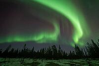 Northern Lights (Aurora borealis), Muddus National Park, Laponia World Heritage Site, Norrbotten, Lapland, Sweden, October 2024 [IBR124636236]
