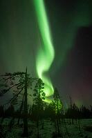Northern Lights (Aurora borealis), Muddus National Park, Laponia World Heritage Site, Norrbotten, Lapland, Sweden, October 2024 [IBR124636238]