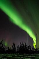 Northern Lights (Aurora borealis), Muddus National Park, Laponia World Heritage Site, Norrbotten, Lapland, Sweden, October 2024 [IBR124636241]