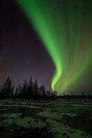 Northern Lights (Aurora borealis), Muddus National Park, Laponia World Heritage Site, Norrbotten, Lapland, Sweden, October 2024 [IBR124636242]