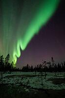 Northern Lights (Aurora borealis), Muddus National Park, Laponia World Heritage Site, Norrbotten, Lapland, Sweden, October 2024 [IBR124636243]