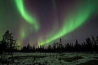 Northern Lights (Aurora borealis), Muddus National Park, Laponia World Heritage Site, Norrbotten, Lapland, Sweden, October 2024 [IBR124636245]