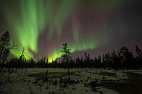 Northern Lights (Aurora borealis), Muddus National Park, Laponia World Heritage Site, Norrbotten, Lapland, Sweden, October 2024 [IBR124636246]