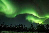 Northern Lights (Aurora borealis), Muddus National Park, Laponia World Heritage Site, Norrbotten, Lapland, Sweden, October 2024 [IBR124636248]