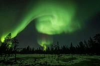 Northern Lights (Aurora borealis), Muddus National Park, Laponia World Heritage Site, Norrbotten, Lapland, Sweden, October 2024 [IBR124636249]
