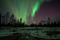 Northern Lights (Aurora borealis), Muddus National Park, Laponia World Heritage Site, Norrbotten, Lapland, Sweden, October 2024 [IBR124636250]