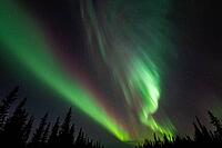 Northern Lights (Aurora borealis), Muddus National Park, Laponia World Heritage Site, Norrbotten, Lapland, Sweden, October 2024 [IBR124636251]