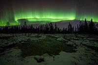 Northern Lights (Aurora borealis), Muddus National Park, Laponia World Heritage Site, Norrbotten, Lapland, Sweden, October 2024 [IBR124636254]